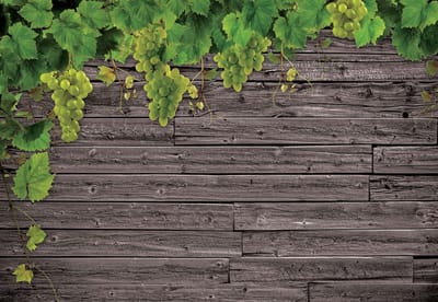 Fotobehang Wooden Wall Grapes | XL - 208cm x 146cm | 130g/m2 Vlies