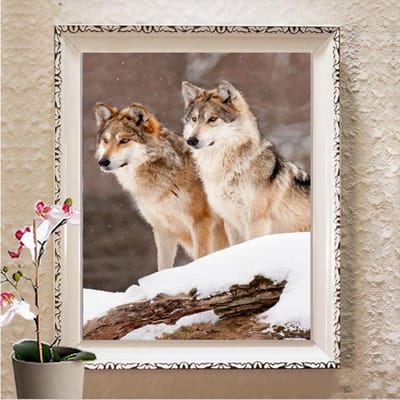 Steentjes Borduur 5D Diamant Schilderij Diamant Mozaïek Cadeau Diy Diamant Borduren Diamant Muur Art Decor Full Square 20X30CM