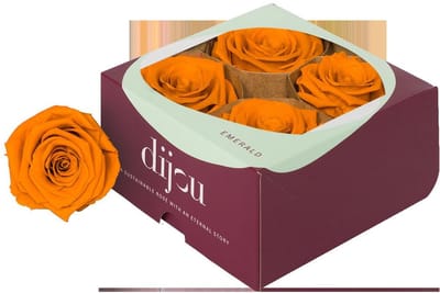 4x Dc pres.rozen lime orange