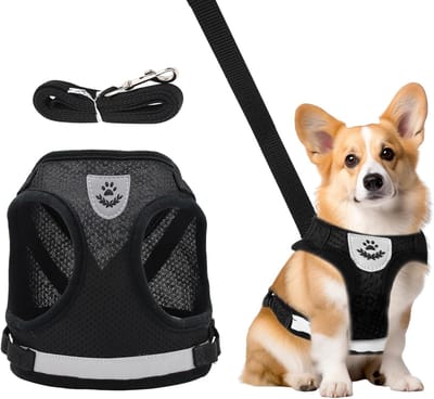 Adjustable Chest Harness - Puppy Harness and Leash Sets - Reflective Dog Harness with Leash for Small Dogs and Cats (XS)