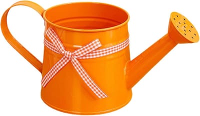 Kleine gieter - Decoratieve houder - Bloemen verzorgen - Metalen design - 1 liter - Oranje