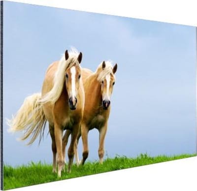 Wanddecoratie Metaal - Aluminium Schilderij Industrieel - Paarden - Gras - Lucht - 30x20 cm - Dibond - Foto op aluminium - Industriële muurdecoratie - Voor de woonkamer/slaapkamer