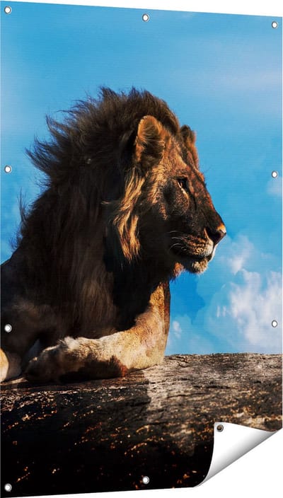 Gards Tuinposter Leeuw tijdens Volle Maan - 80x120 cm - Tuindoek - Tuindecoratie - Wanddecoratie buiten - Tuinschilderij