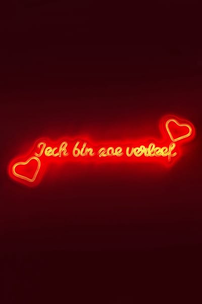 LED Neon Verlichting iech bin zoe verleef