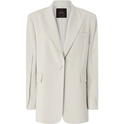 damesjassen Pinko - grace jacket vloeistof - grijs