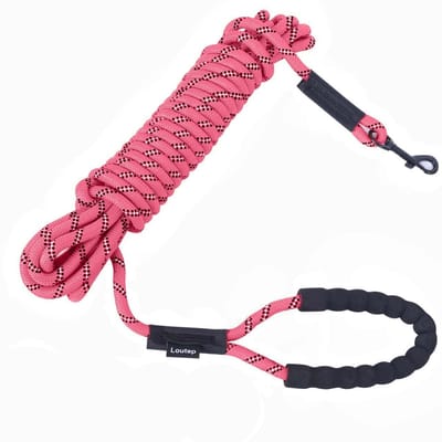 Dailygoods- Trainingslijn 3 meter - Hondenriem - Duurzaam materiaal - Zacht gevoerd handvat - Lange lijn - Geschikt voor puppy's en honden - Hondenlijn