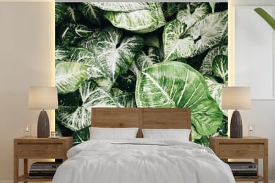 Behang - Fotobehang Bladeren - Planten - Natuur - Breedte 220 cm x hoogte 220 cm