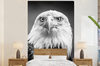 Behang - Fotobehang Arend - Roofvogel - Zwart - Wit - Dieren - Breedte 145 cm x hoogte 220 cm