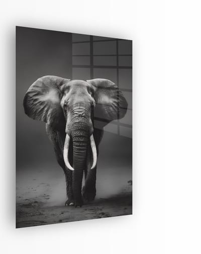 Indoorart - Glasschilderij Majestueuze Olifant 40x60 CM - Afbeelding op plexiglas - Inclusief montagemateriaal