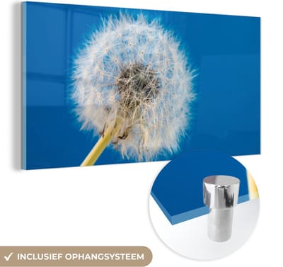 MuchoWow® Glasschilderij 40x20 cm - Schilderij acrylglas - Paardenbloem - Bloem - Terras - Foto op glas - Schilderijen