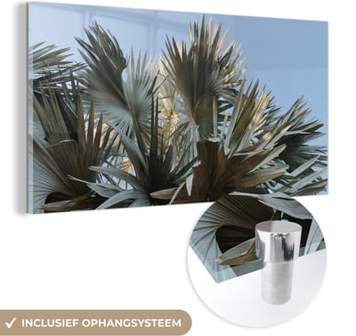 MuchoWow® Glasschilderij 120x60 cm - Schilderij acrylglas - Palm - Bladeren - Tropisch - Zomer - Foto op glas - Schilderijen