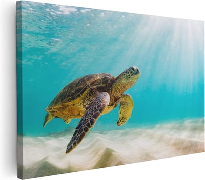 Artaza Canvas Schilderij Schildpad - 30x20 cm - Klein - Muurdecoratie Strand - Wanddecoratie Zee - Kamer Accessoires