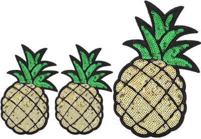 3-delige set geborduurde stoffen patches met ananas en cactus voor kleding, tassen en decoratie, strijk- en naai-applicaties voor kinderen