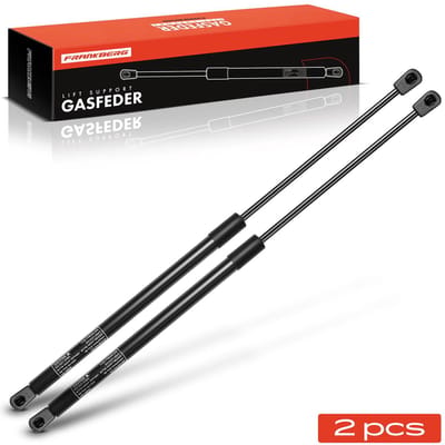 Frankberg 2x Gasveer Klep voor Seat Ibiza II 6K1 Drie-/Vijfdeurs