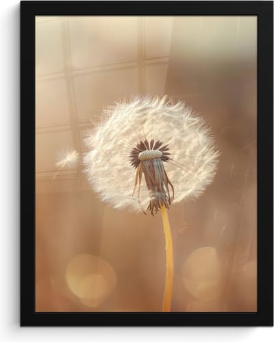 Poster in lijst - Fotolijst 30x40 cm - Posters - Paardenbloem - Beige - Natuur - Bloem - Posterlijst zwart - Decoratie - Wanddecoratie woonkamer - Muurdecoratie slaapkamer