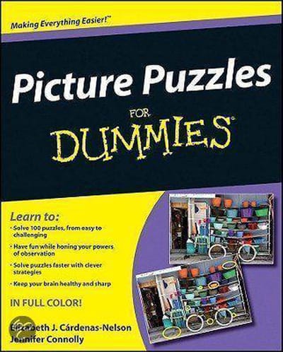 Picture Puzzles For Dummies