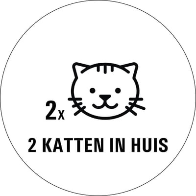 Katten in huis sticker - 80 x 80 mm 2