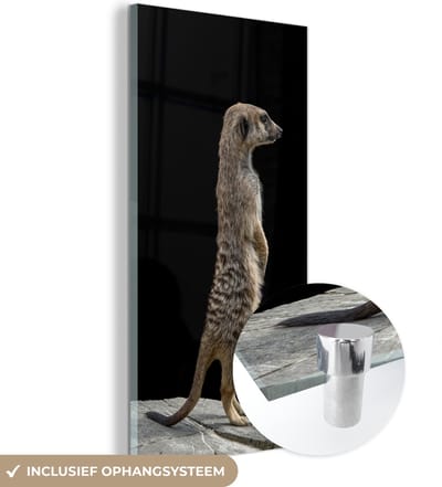 MuchoWow® Glasschilderij 20x40 cm - Schilderij acrylglas - Stokstaartje - Wilde dieren - Zwart - Foto op glas - Schilderijen