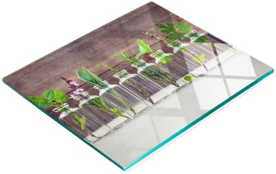 Duurzaam en stijlvol glazen bord met plantenmotief, 60x52 cm