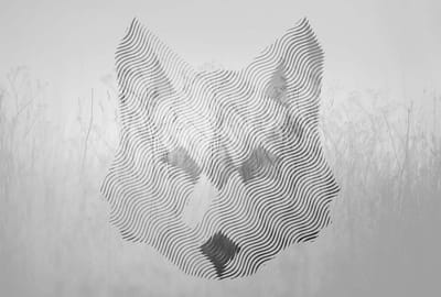 Fotobehang FoxGraphic1 DD118160 A.S. Création Atelier 47 | 3D Fotobehang