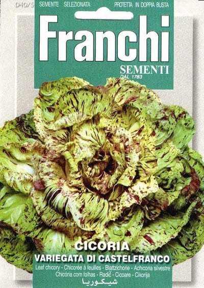 Franchi - Cicoria Castelfranco  - roodlof