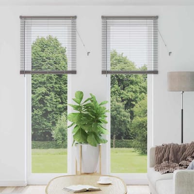 vidaXL - Venetiaanse - jaloezie - zilver - 220 - x - 70 - cm - 25 - mm - Aluminium
