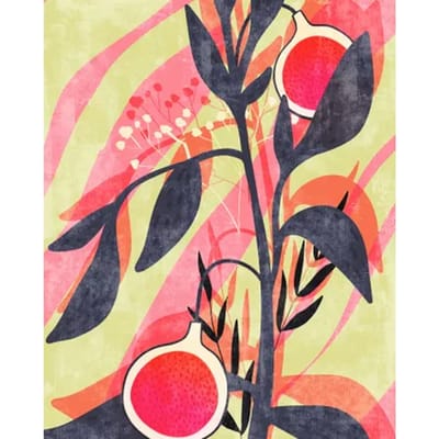 Fotobehang - Bonbons aux Fruits 200x250cm - Vliesbehang