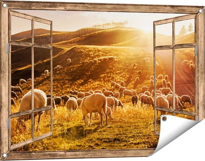 Gards Tuinposter Doorkijk Schapen in de Heuvels bij Zonsondergang - 90x60 cm - Tuindoek - Tuindecoratie - Wanddecoratie buiten - Tuinschilderij