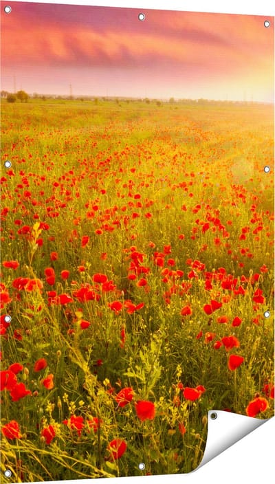 Gards Tuinposter Rode Klaproos Bloemenveld - Zonsondergang - 80x120 cm - Tuindoek - Tuindecoratie - Wanddecoratie buiten - Tuinschilderij