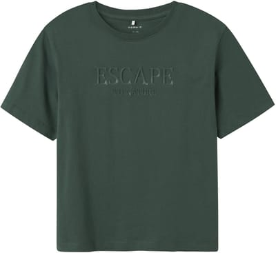 NAME IT - NKMLAURENT SS NREG TOP - Jongens - T-shirts