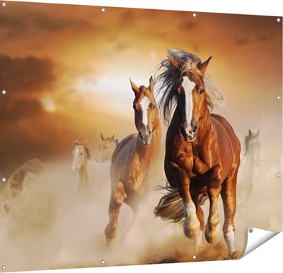 Gards Tuinposter Wilde Paarden in het Zand - 150x120 cm - Tuindoek - Tuindecoratie - Wanddecoratie buiten - Tuinschilderij