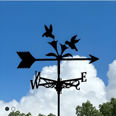 Metalen Windspinner met Dierenmotief - Smeedijzeren Tuin Decoratie voor Buiten - Ornament voor Daktuinen & Binnenplaatsen-Twee kolibries-Belle‘s product-Belle's product