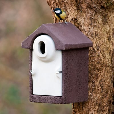 CJ Wildlife Nestkast - Aanbevolen door de Vogelbescherming Nederland - Sevilla - Nestkastje voor o.a. Koolmees, Boomklevers & Mussen - Woodstone Vogelhuisje - FSC-gecertificeerd - Bruin