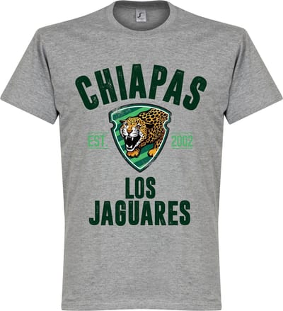 Chiapas Estabished T-Shirt - Grijs - XXXL