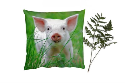 Sierkussens - Kussentjes Woonkamer - 40x40 cm - Varken - Dieren - Big