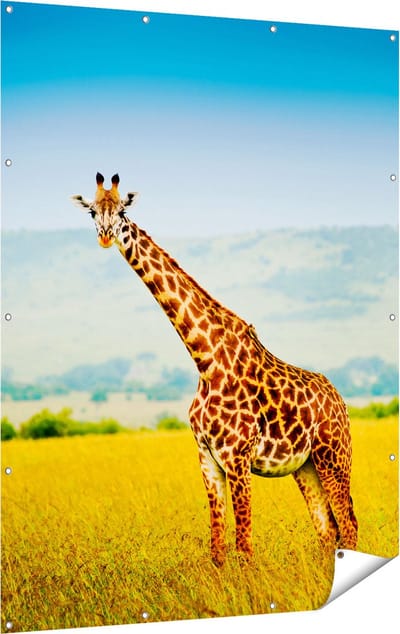 Gards Tuinposter Giraffe in het Veld - 120x160 cm - Tuindoek - Tuindecoratie - Wanddecoratie buiten - Tuinschilderij