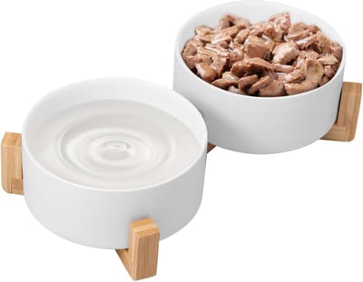 Hondenbak Set - Voerbakken - Comfortabel Eten - Verhoogde Standaard - 850ml Per Bak - Wit