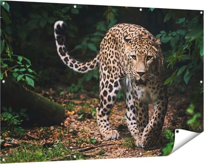 Gards Tuinposter Luipaard in het Bos - 150x100 cm - Tuindoek - Tuindecoratie - Wanddecoratie buiten - Tuinschilderij