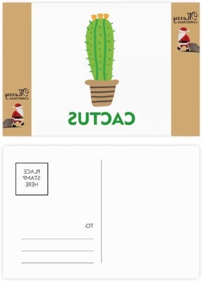 Ansichtkaarten Set - Wenskaarten - Notities Maken - Dubbelzijdig Bedrukt - 20 Stuks - Multi kleuren