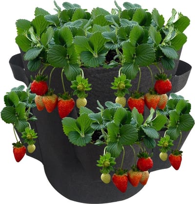 Aardbeien Grow Bag - 40 liter (Ø38x30cm) met handvaten - Zwart - per 2 stuks