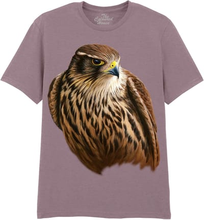 Valk Merlin Falcon - Smelleken The Coloured House T-shirt XXL