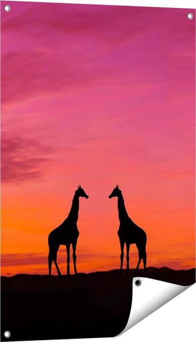 Gards Tuinposter Twee Giraffe Silhouetten bij Zonsondergang - 60x90 cm - Tuindoek - Tuindecoratie - Wanddecoratie buiten - Tuinschilderij