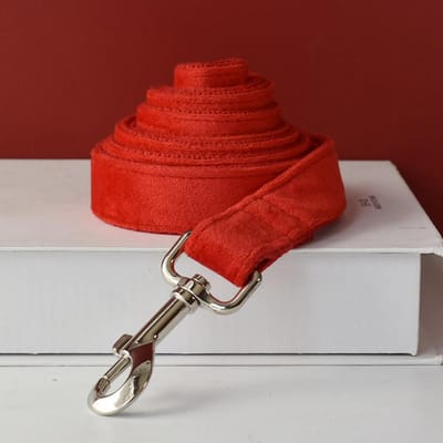 Huisdierproducten Aangepersonaliseerd Naamplaatje Huisdierbenodigdheden Gepersonaliseerde Huisdierhalsband Gebruik Voor Amerikaanse Cocker Spaniel Flanel 03 M