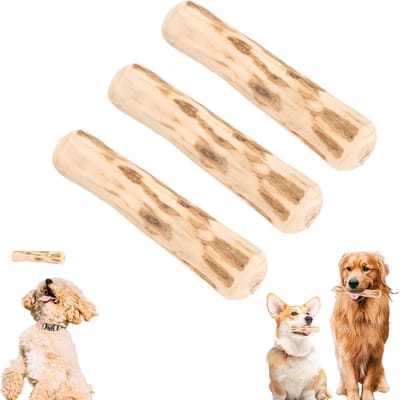Set van 3 Houten Kauwspeeltjes voor Honden, 14 cm, Natuurlijk Materiaal, Ideaal voor Tandverzorging en Training, Geschikt voor Kleine en Middelgrote Honden