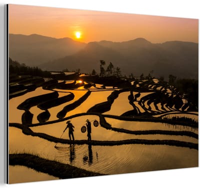 Aluminium schilderij 180x120 cm - Wanddecoratie metaal - Prachtig beeld van een rijstveld bij zonsondergang - Metalen muurdecoratie woonkamer - Decoratie industrieel - Foto op dibond - Industriële accessoires slaapkamer