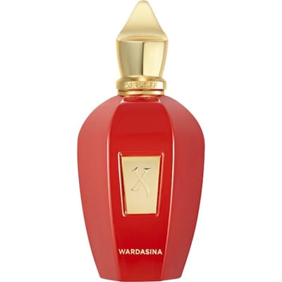 XERJOFF Vibe Collection Eau de Parfum Spray Herenparfum Unisex 100 ml