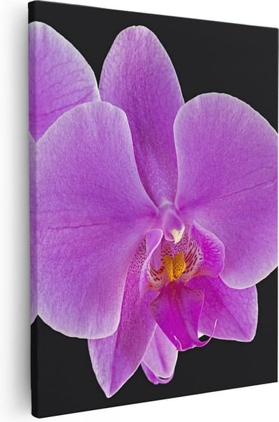 Artaza Canvas Schilderij Bloemen - 40x50 cm - Wanddecoratie Orchidee - Muurdecoratie Bloem - Kamer Accessoires Roze