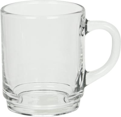 6 theeglazen met oor 25cl