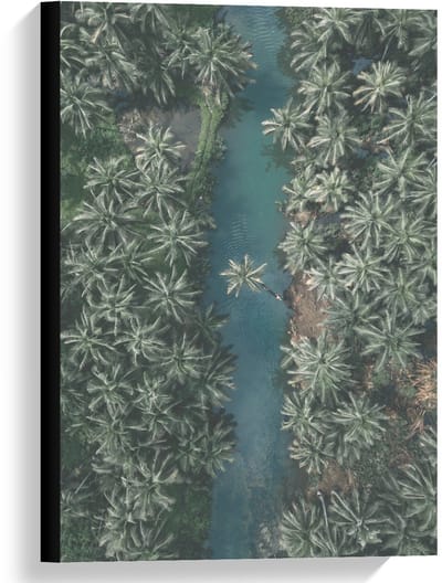 Canvas  - Palmbomen bi Rivier - 40x60cm Foto op Canvas Schilderij (Wanddecoratie op Canvas)