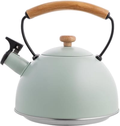 Waterkoker - Theeketel Fluitketel - Warme Dranken Maken - Geschikt Alle Fornuizen - 23 Liter - Mint